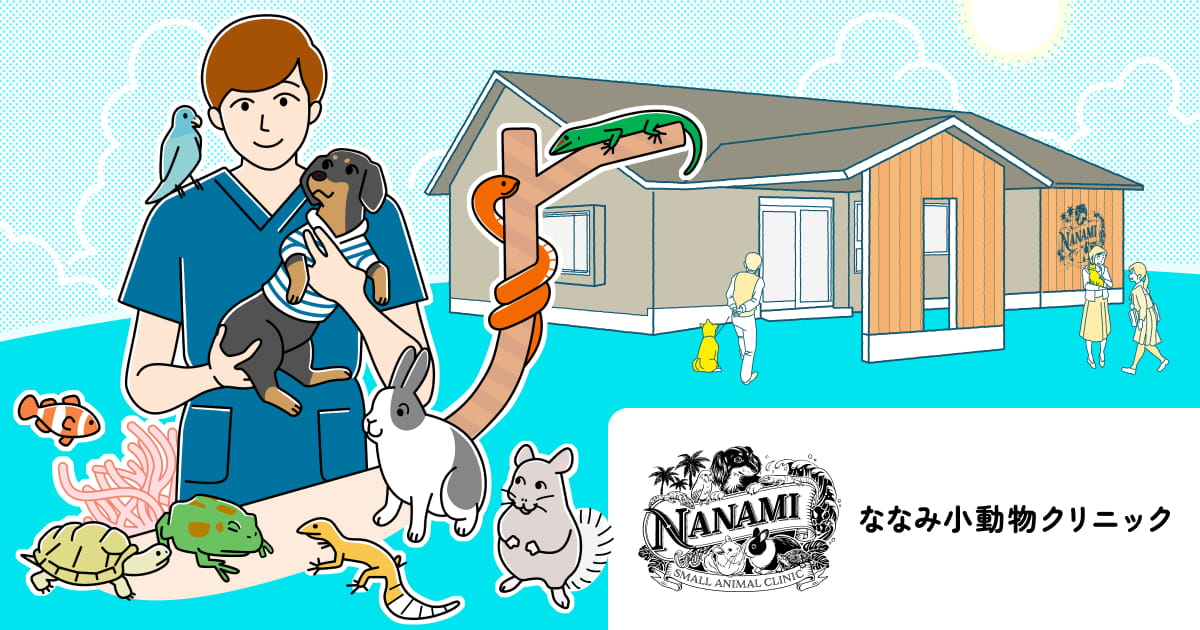 本日開院です。 | ななみ小動物クリニック