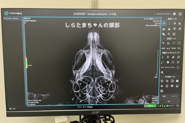 デジタルレントゲン撮影システムのイメージ
