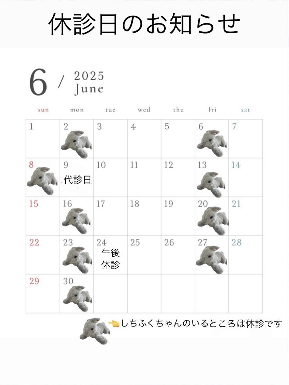 アイキャッチ画像