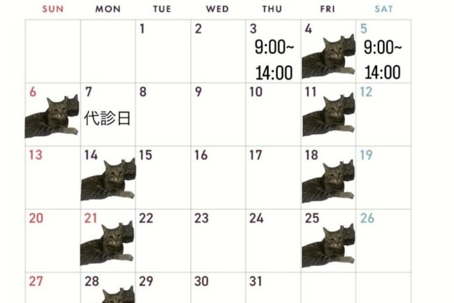 7月3日〜7月7日の診療時間