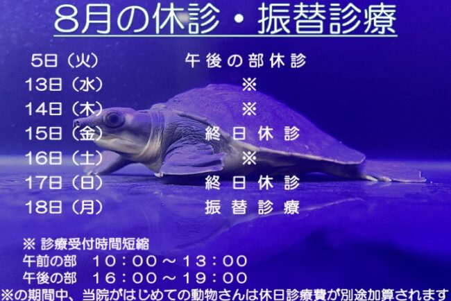 8月の開院・診療時間