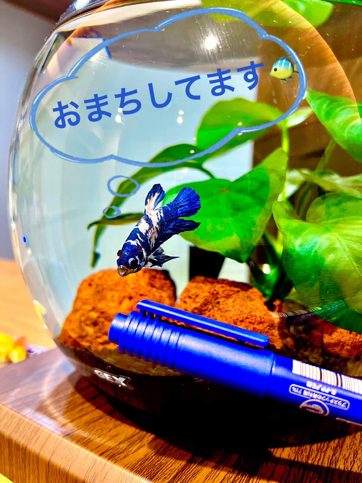 アイキャッチ画像