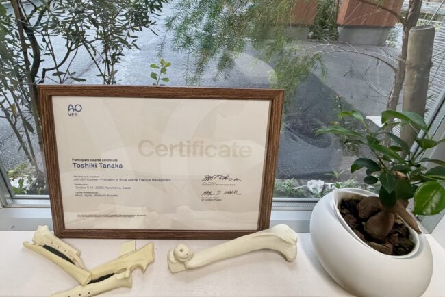 整形外科のセミナー