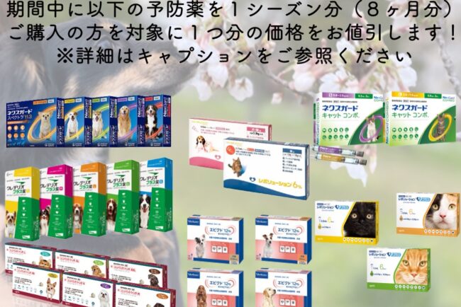 春のフィラリア予防薬キャンペーン