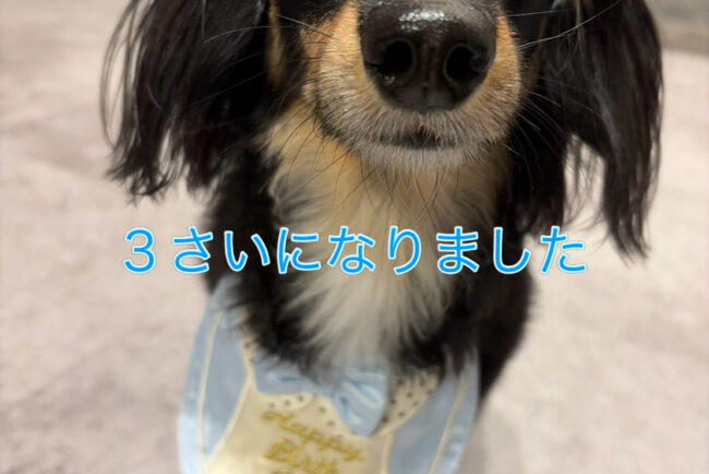 いろんな閉塞