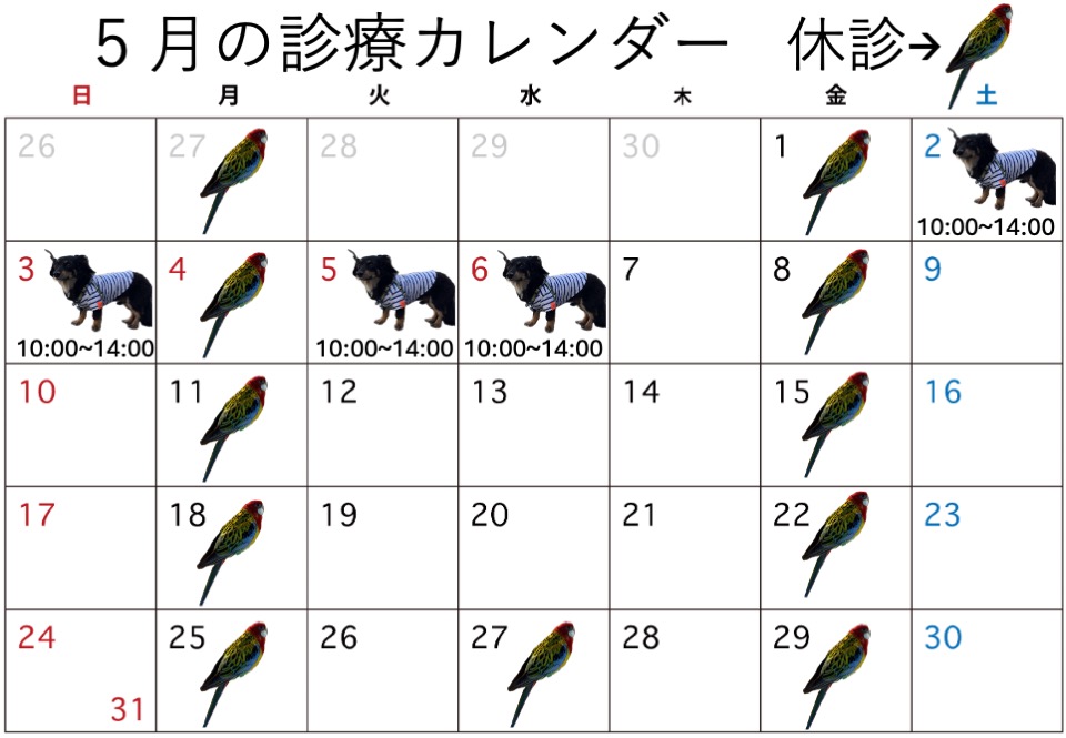 アイキャッチ画像
