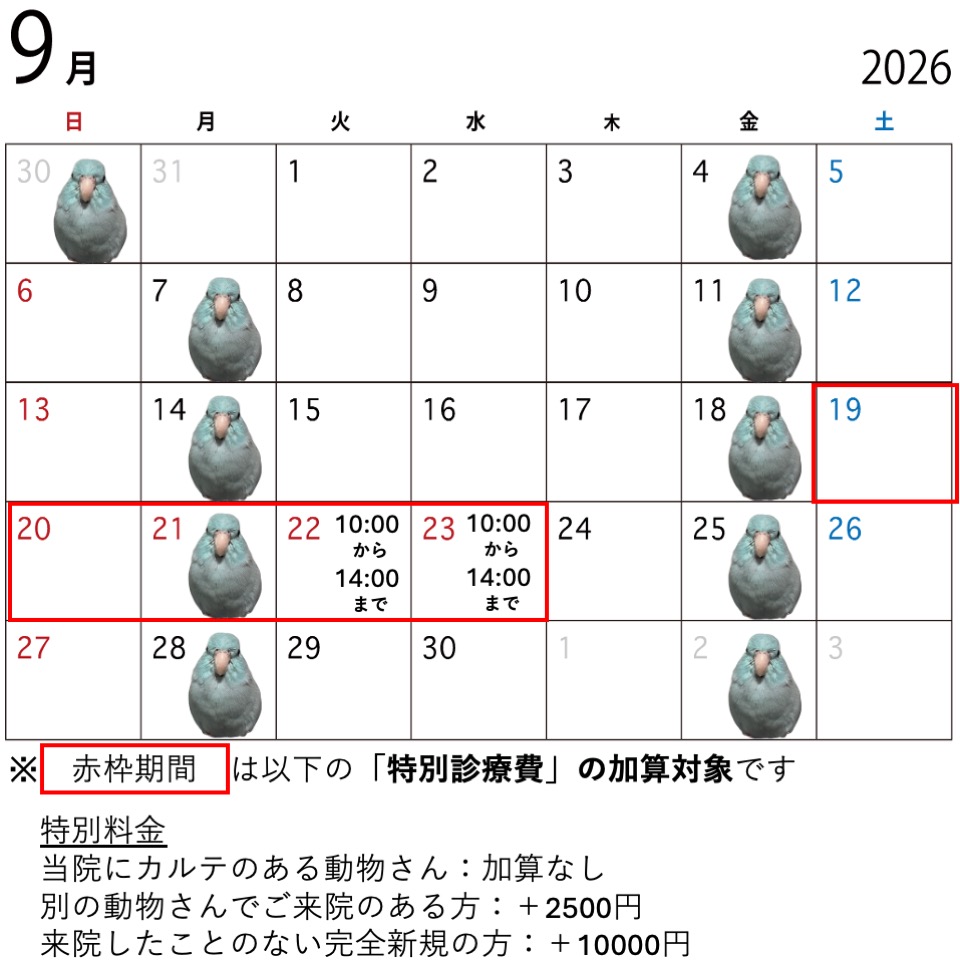 アイキャッチ画像